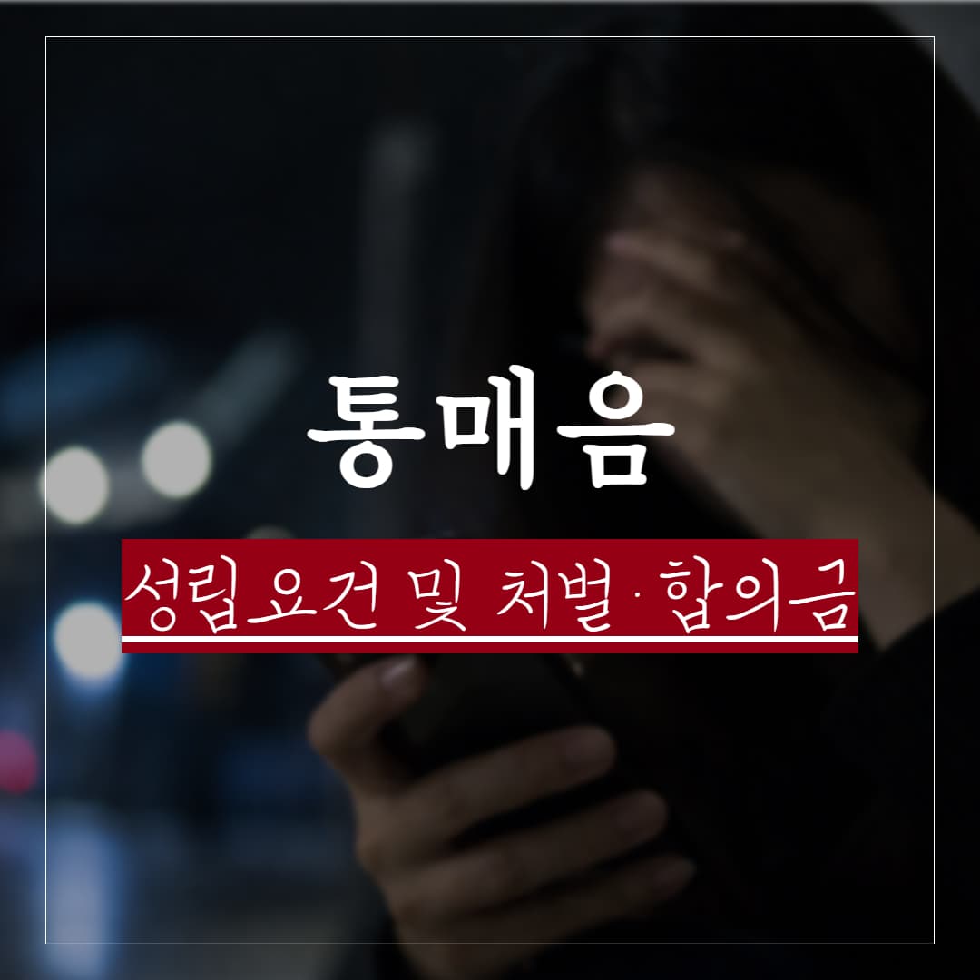 통매음 성립요건, 처벌 및 합의금 평균, 실제 판례 모음
