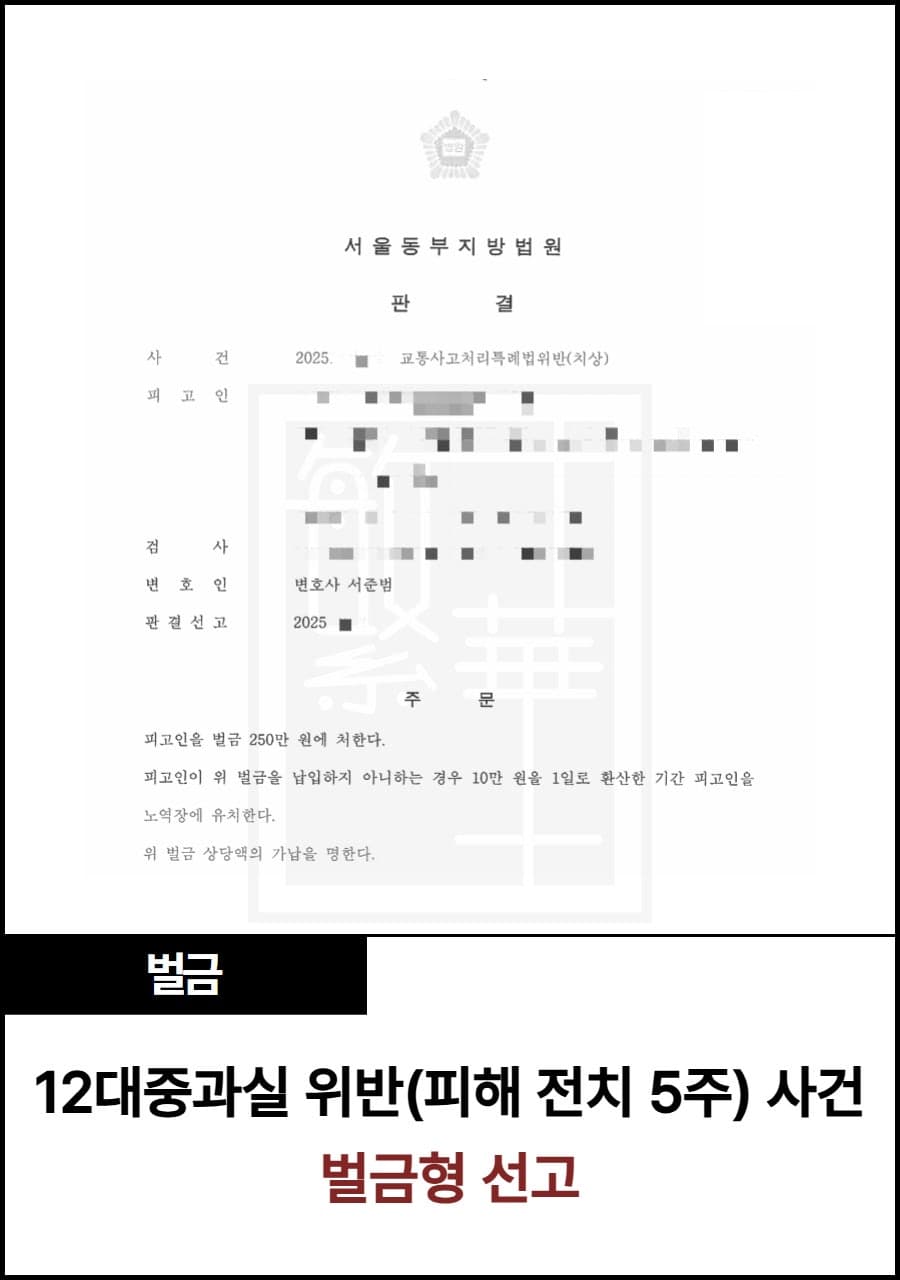 12대중과실(전치5주) 치상, 벌금 선고 사례