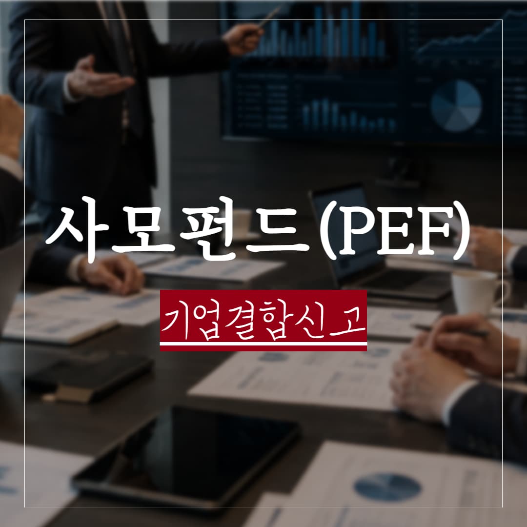 사모펀드(pef)란? 기업결합신고 요건과 장단점, 법률리스크 정리